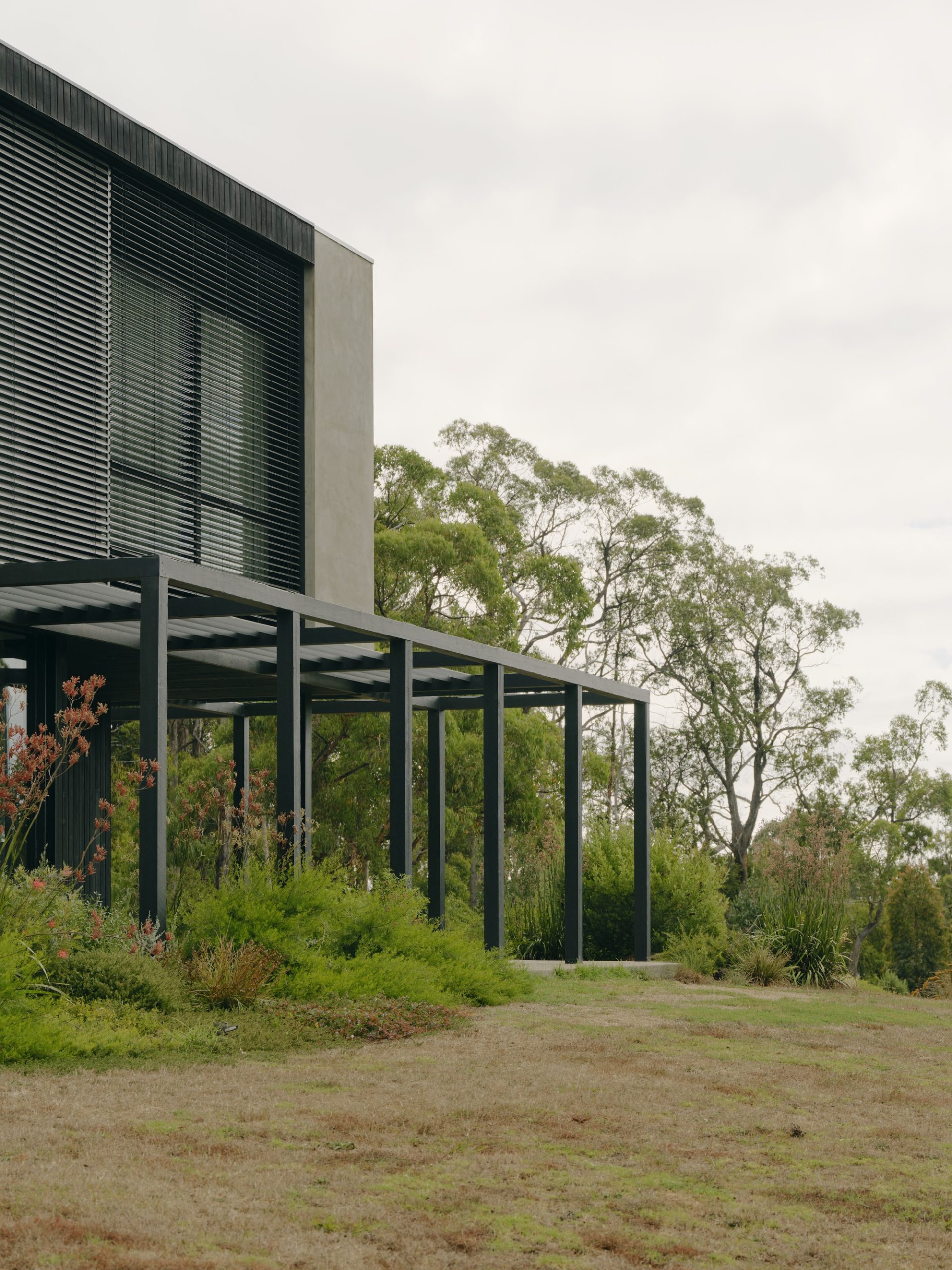 No.41 House / Tristan Burfield