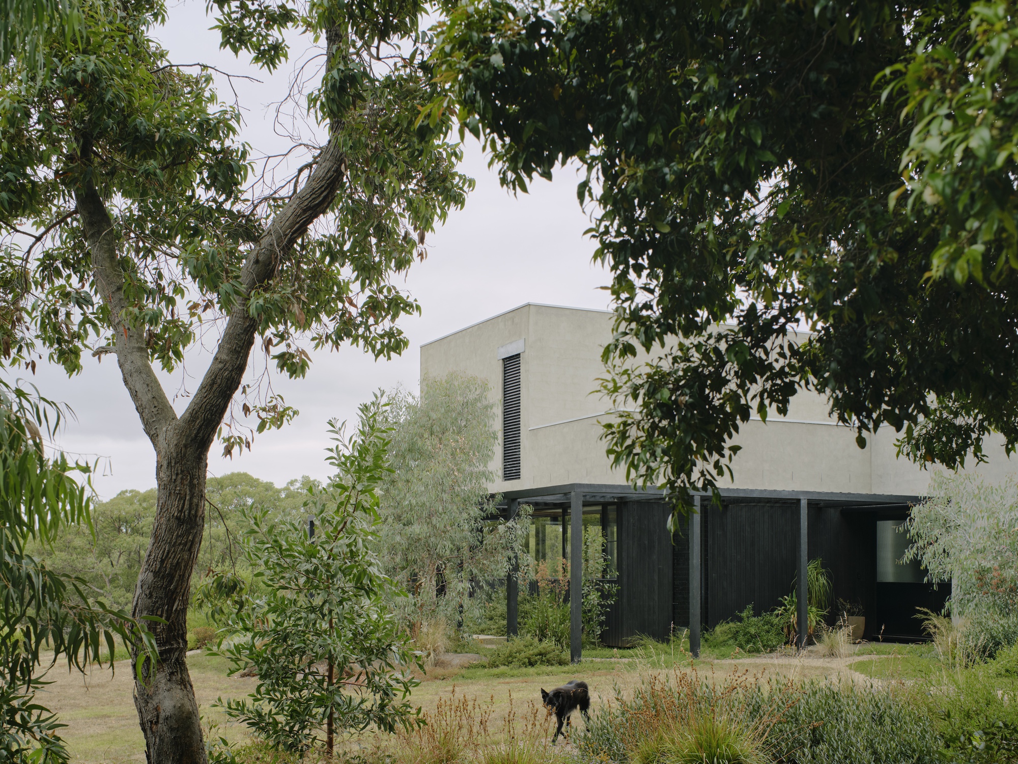 No.41 House / Tristan Burfield