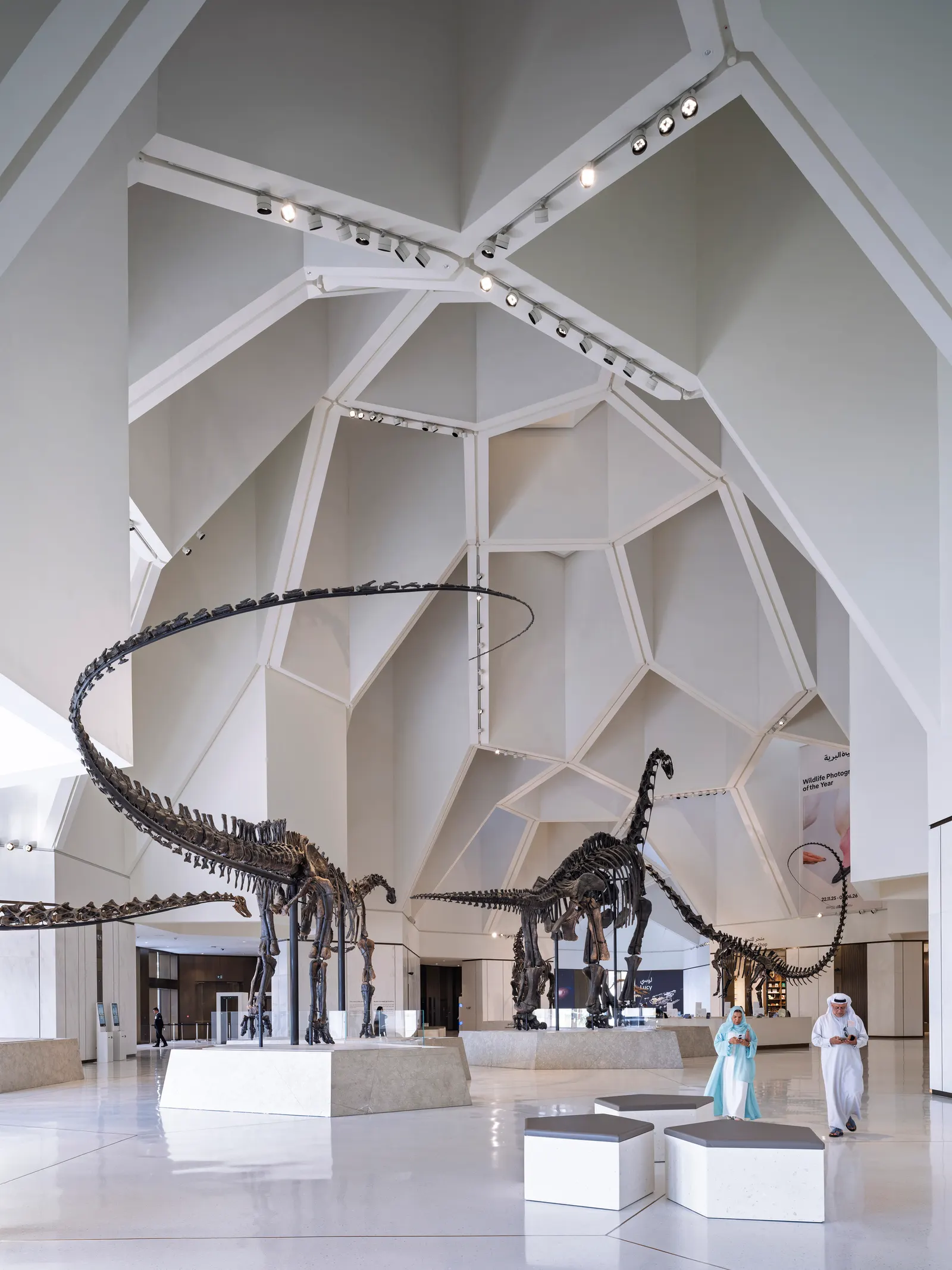 Natural History Museum Abu Dhabi / Mecanoo
