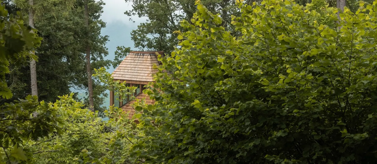 TreeBOX: деревянный ретрит Officina82 среди дубов в Лигурийских Альпах