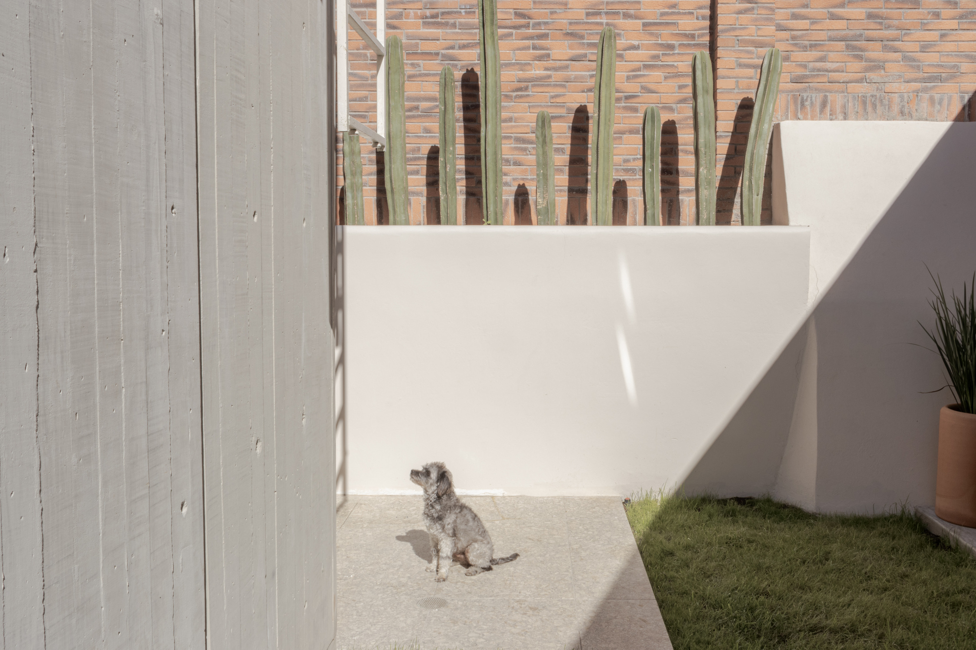 House dieciocho / Pereda Han Estudio