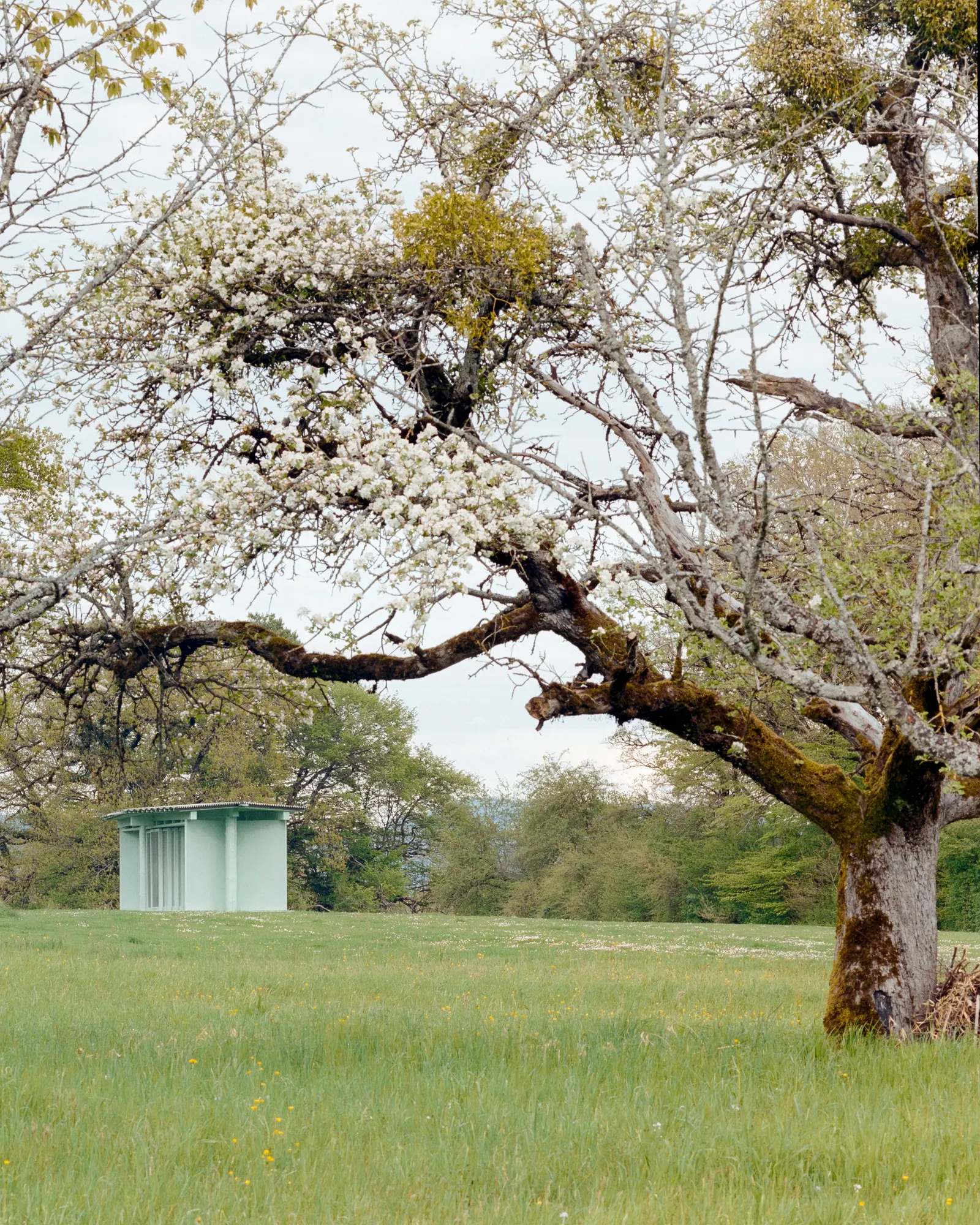 Pavillon of the Sliding Doors / Piertzovanis Toews