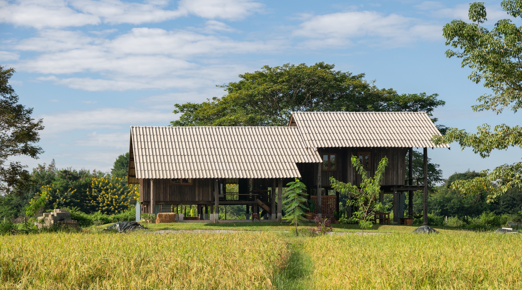 Raintree Lane Farm House / Yangnar Studio