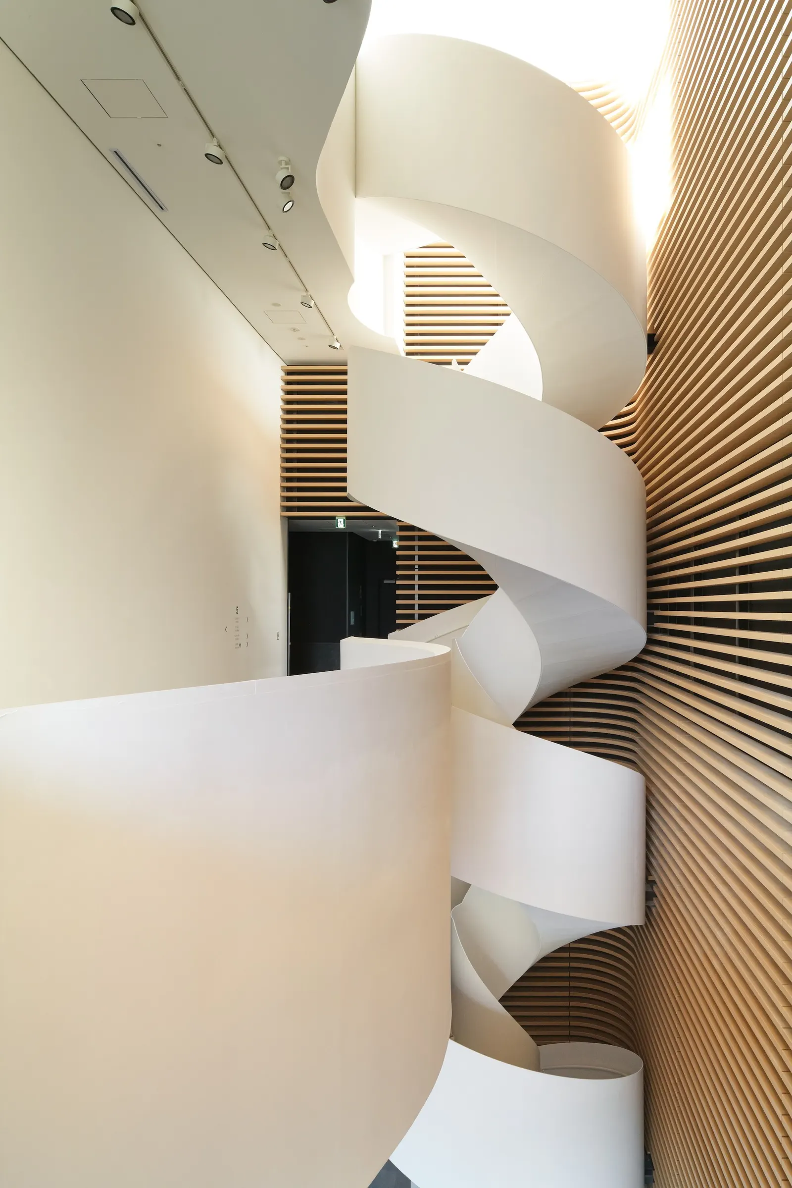 Timber Studio / Koichi Takada Architects