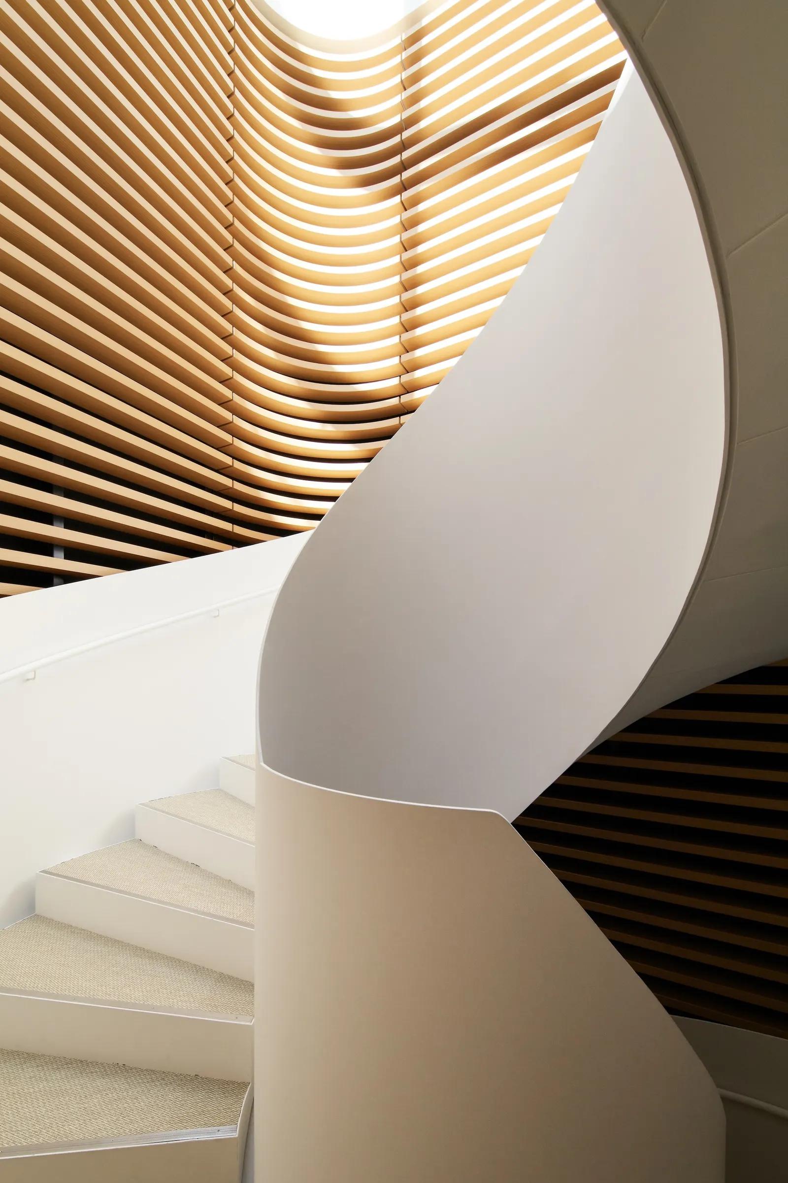 Timber Studio / Koichi Takada Architects