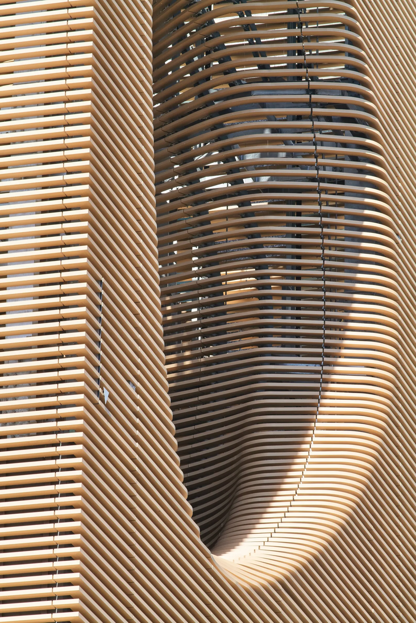 Timber Studio / Koichi Takada Architects