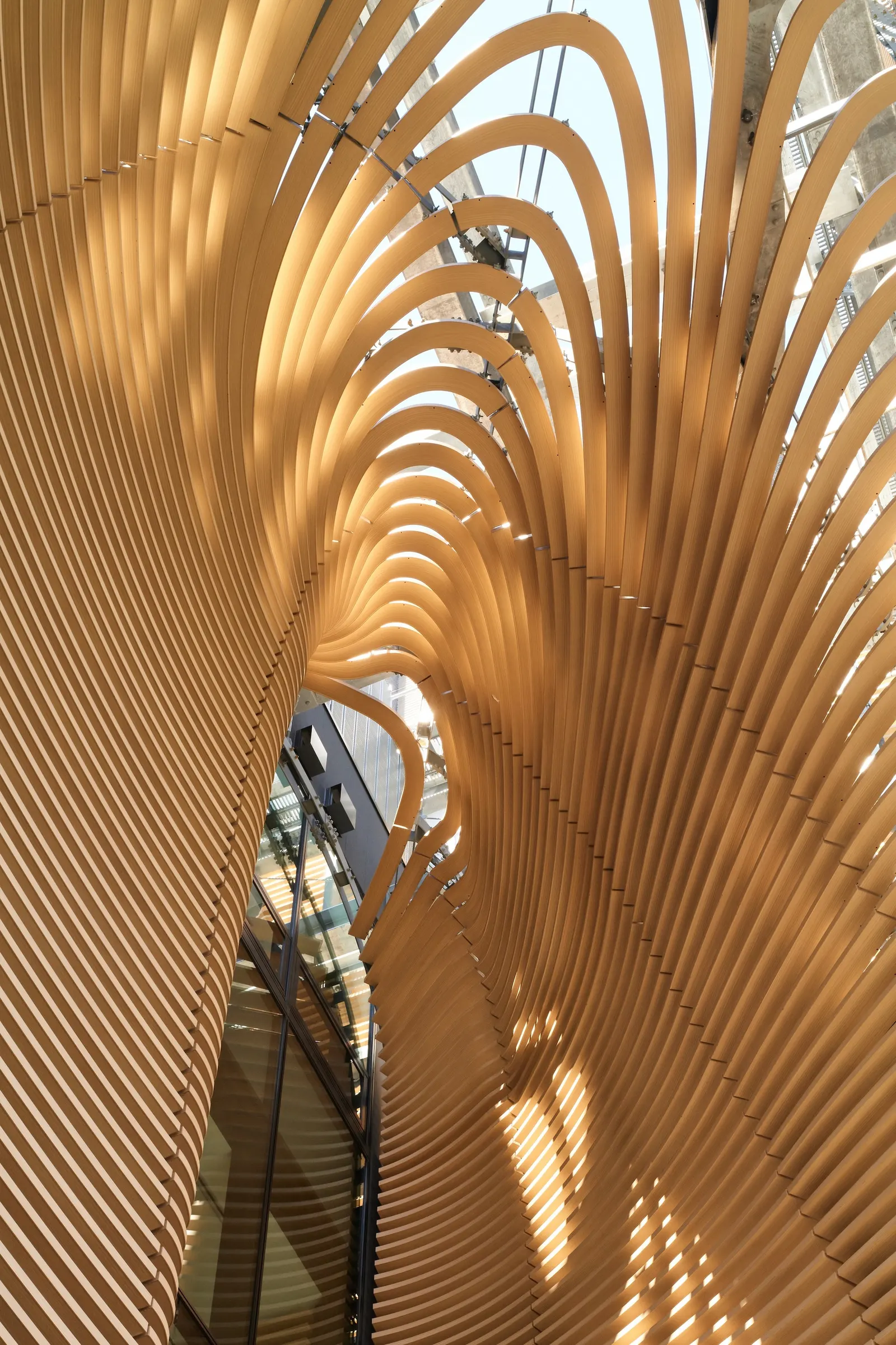 Timber Studio / Koichi Takada Architects
