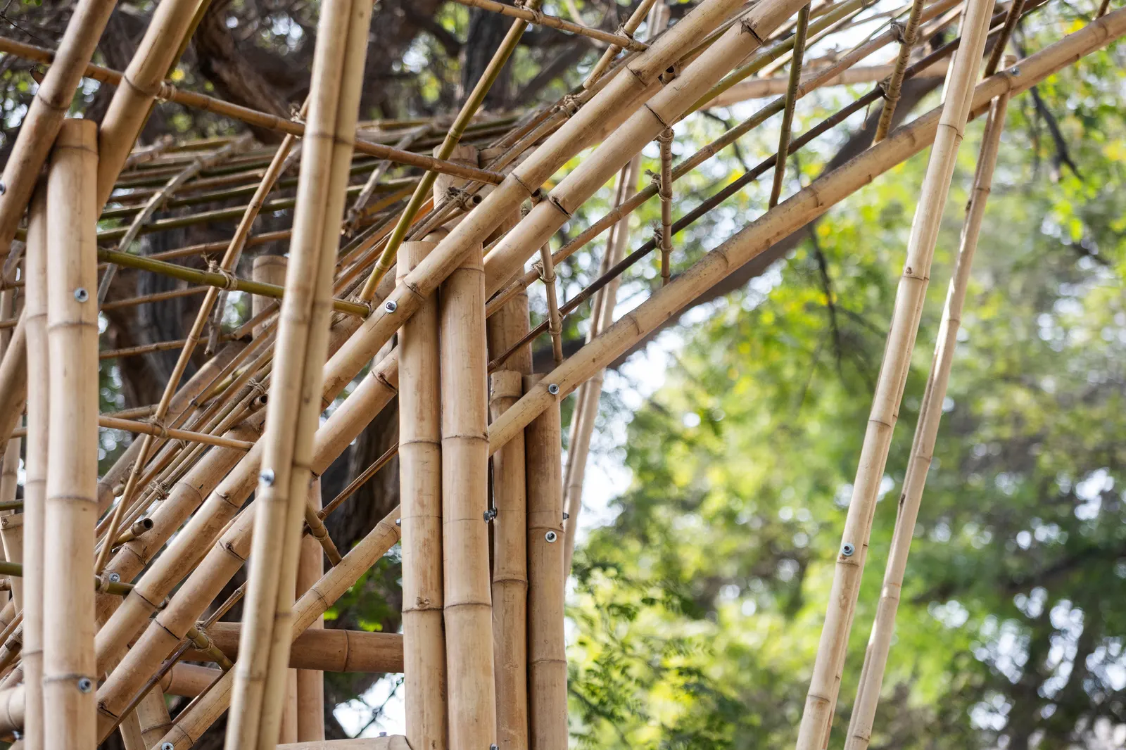Umbral Floral Pavilion / Cerron Arquitectos