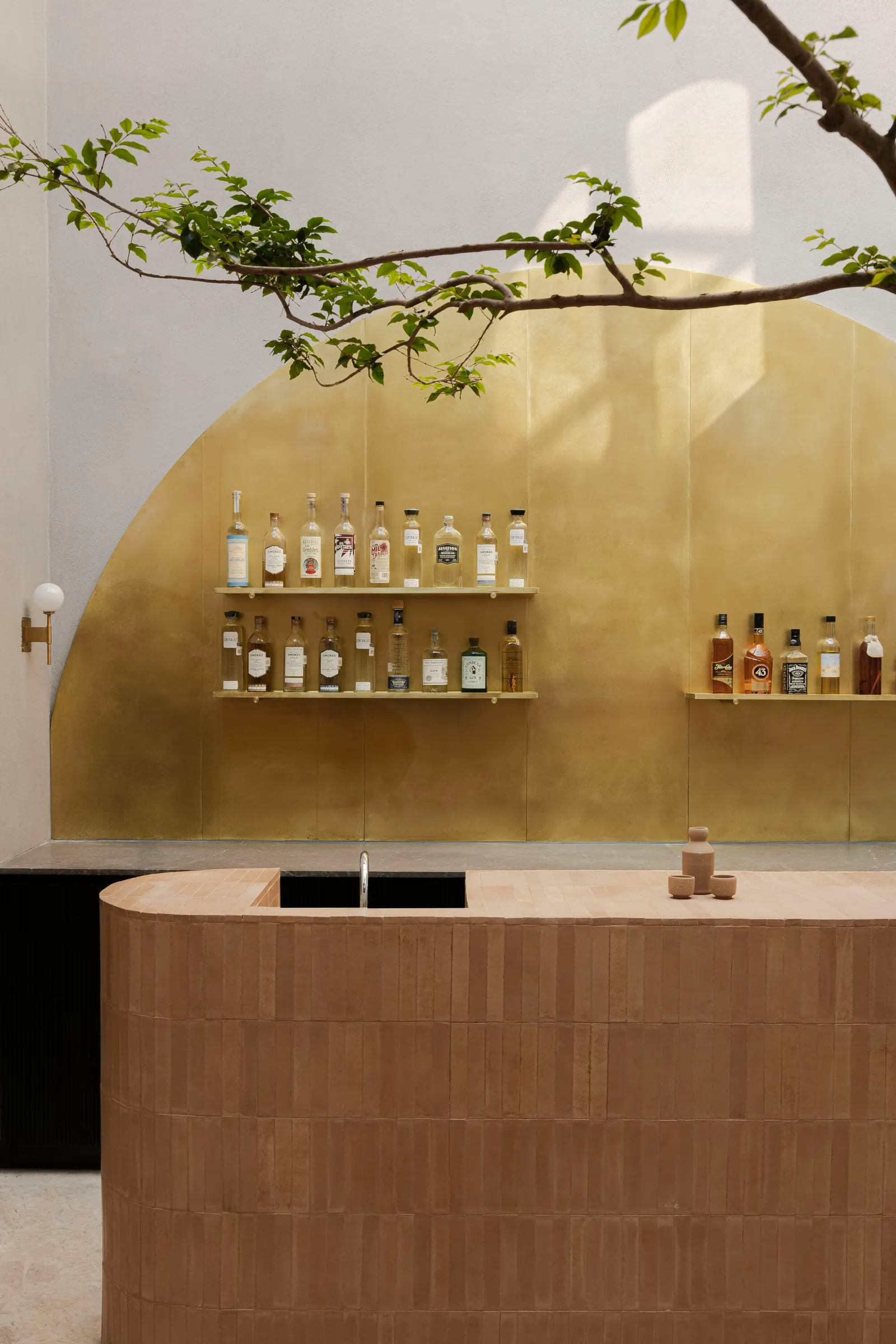 Casa Mezcal / Barde + vanVoltt