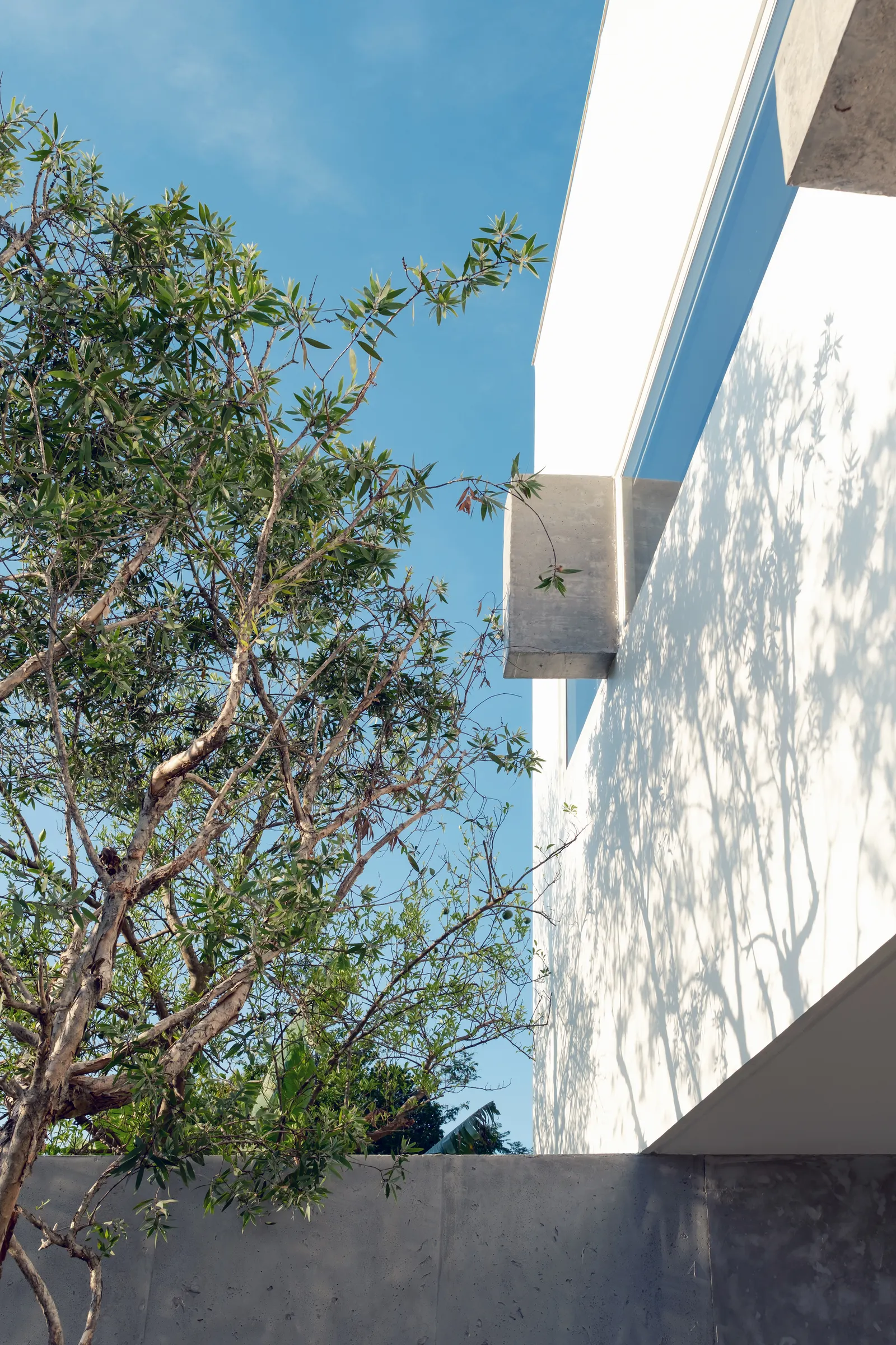 Lily Block Residence / 3fconcept