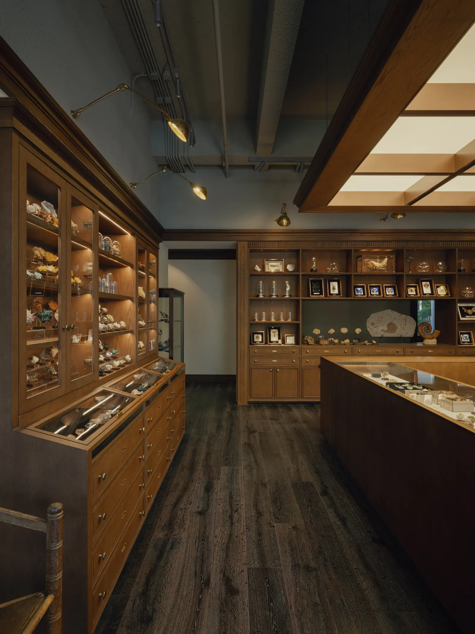 Wild’s Collection Naturalist Specimen / Offhand Practice в Гуанчжоу