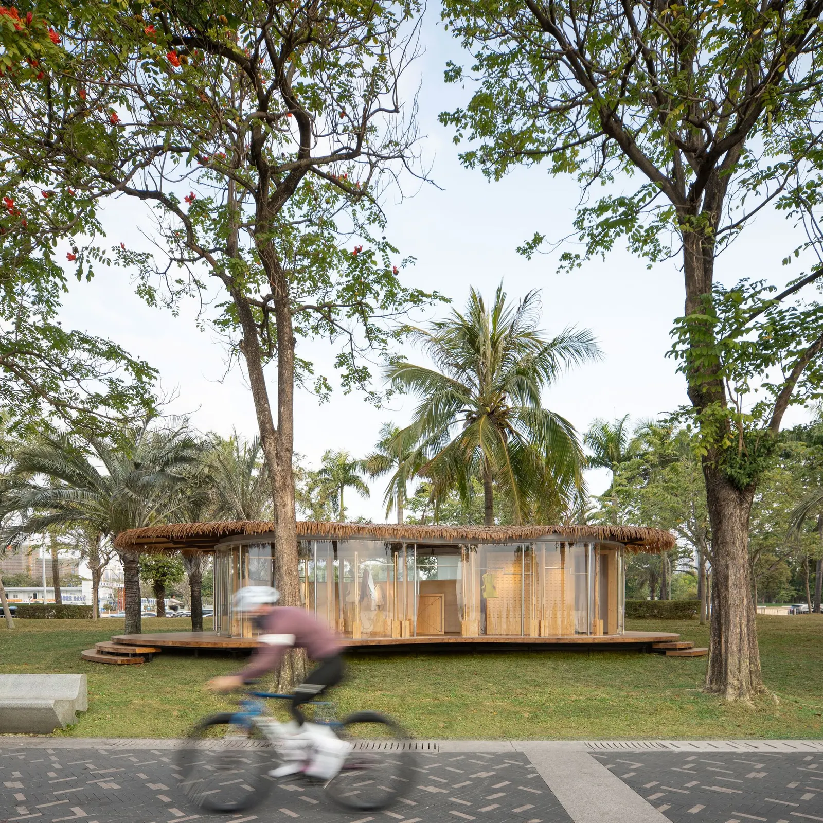 A Leaf Canopy by the Sea / Studio 10