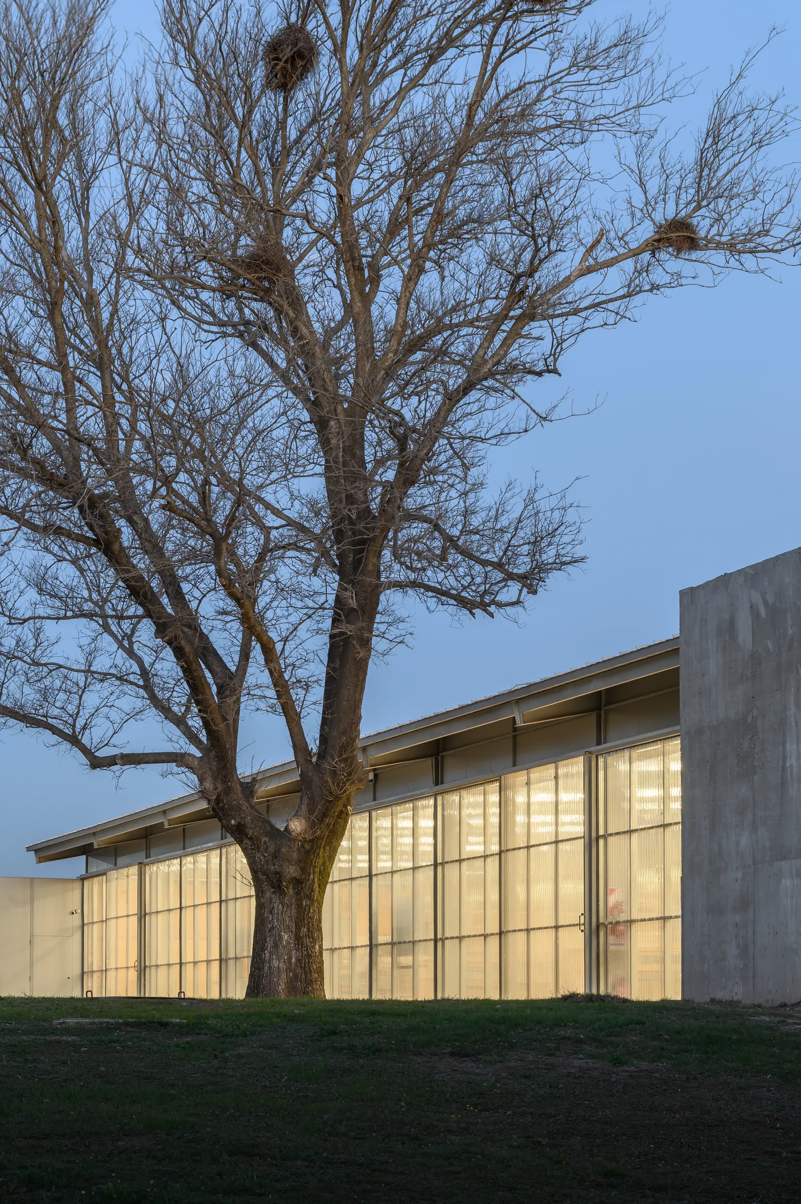 HUB UCC: пространство для инноваций Университета Католика де Кордова / BLT Arquitectos