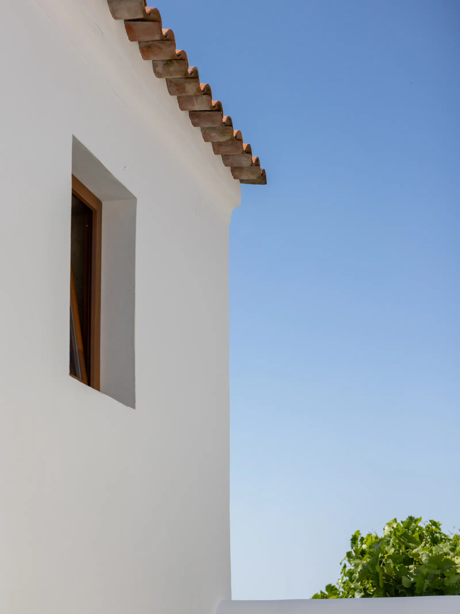 Casa no Castelo / Gonçalo Grácio