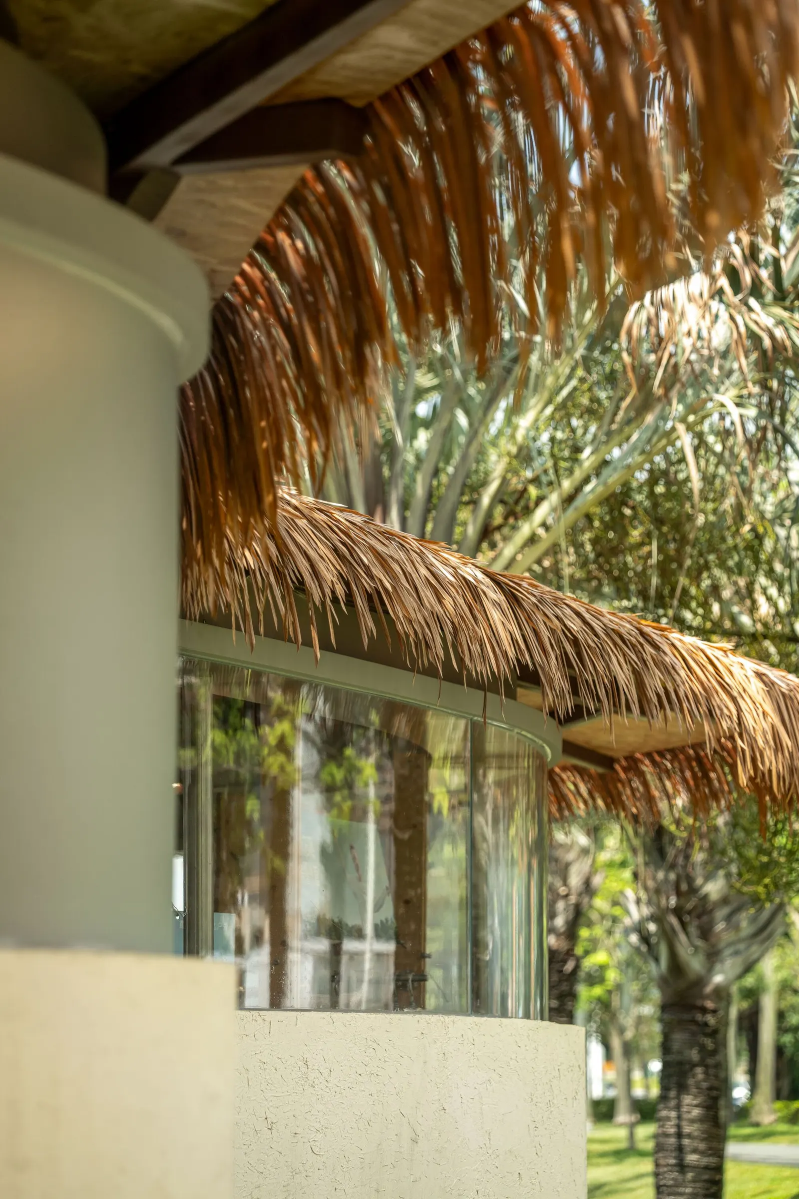 A Leaf Canopy by the Sea / Studio 10