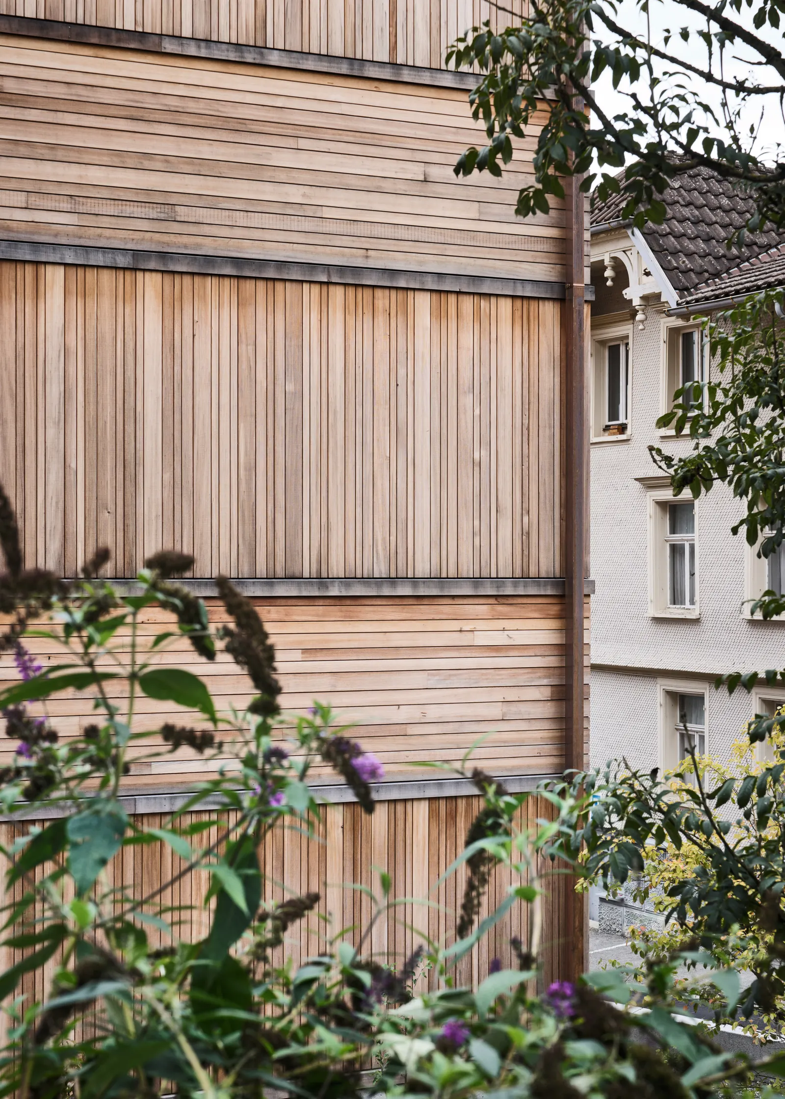 Детский дом Brunnengasse / Bernardo Bader Architekten