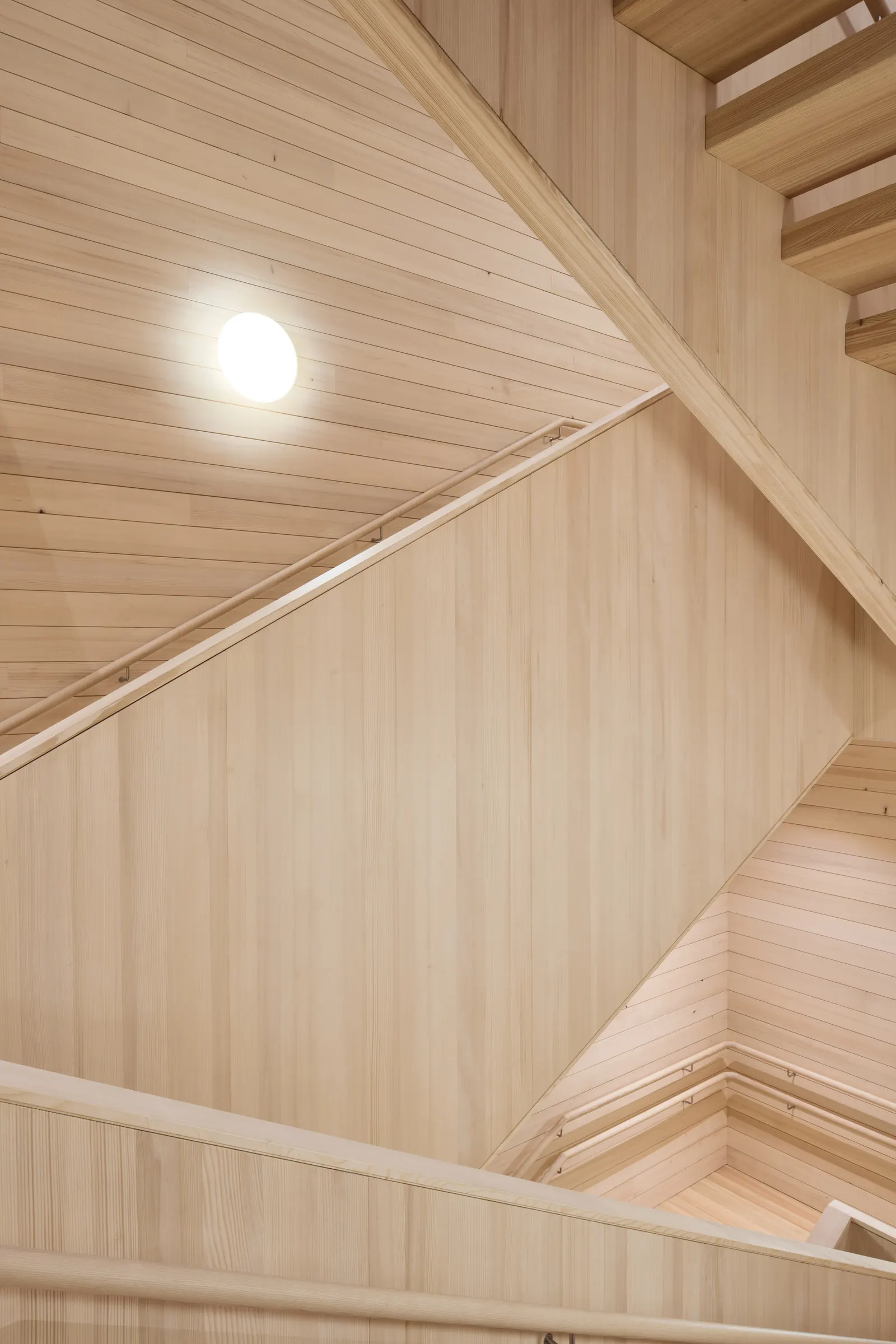 Детский дом Brunnengasse / Bernardo Bader Architekten