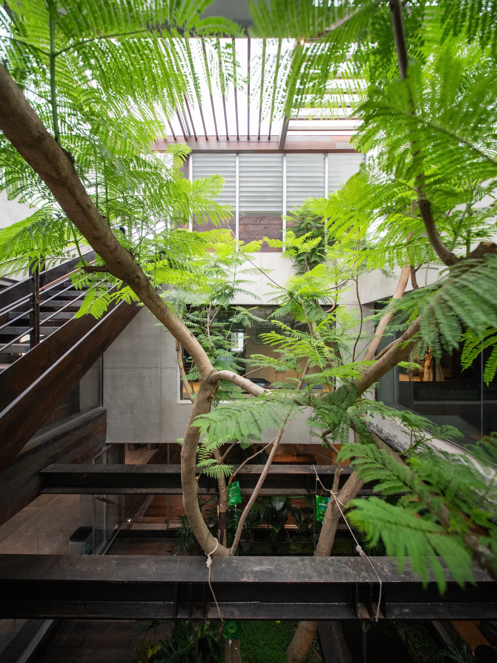 aa Market / Vari Architects — рынок на крыше как новая городская сцена в Чунцине