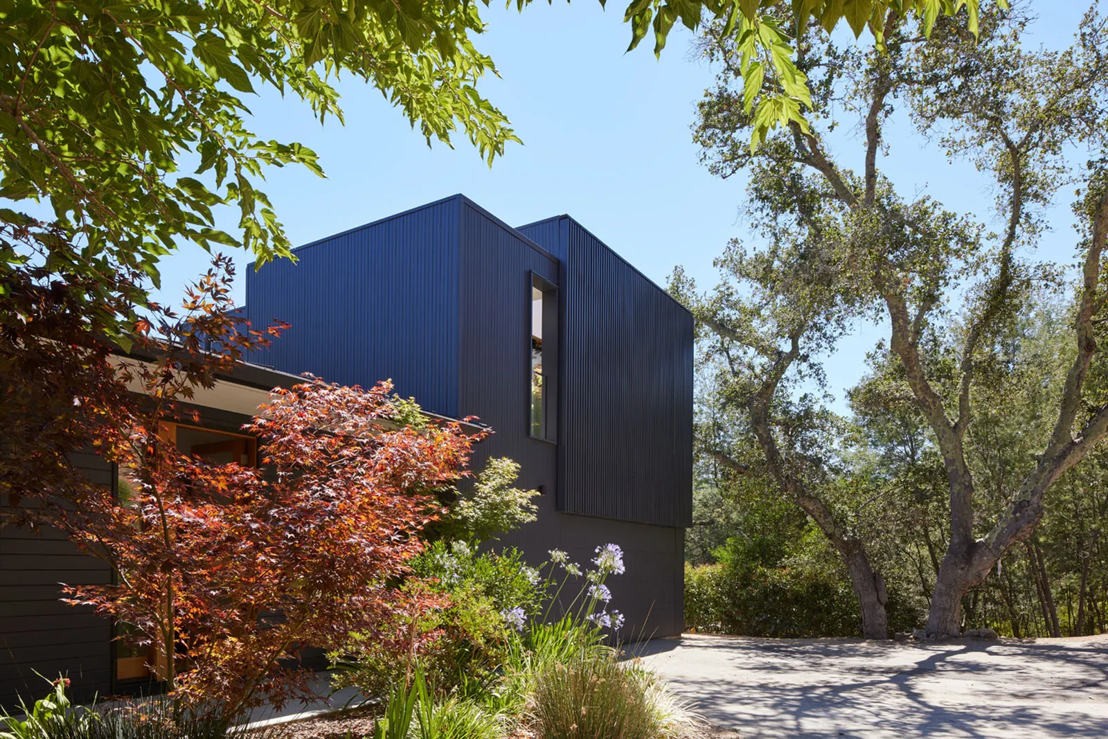 Portola Valley Home / Schwartz and Architecture