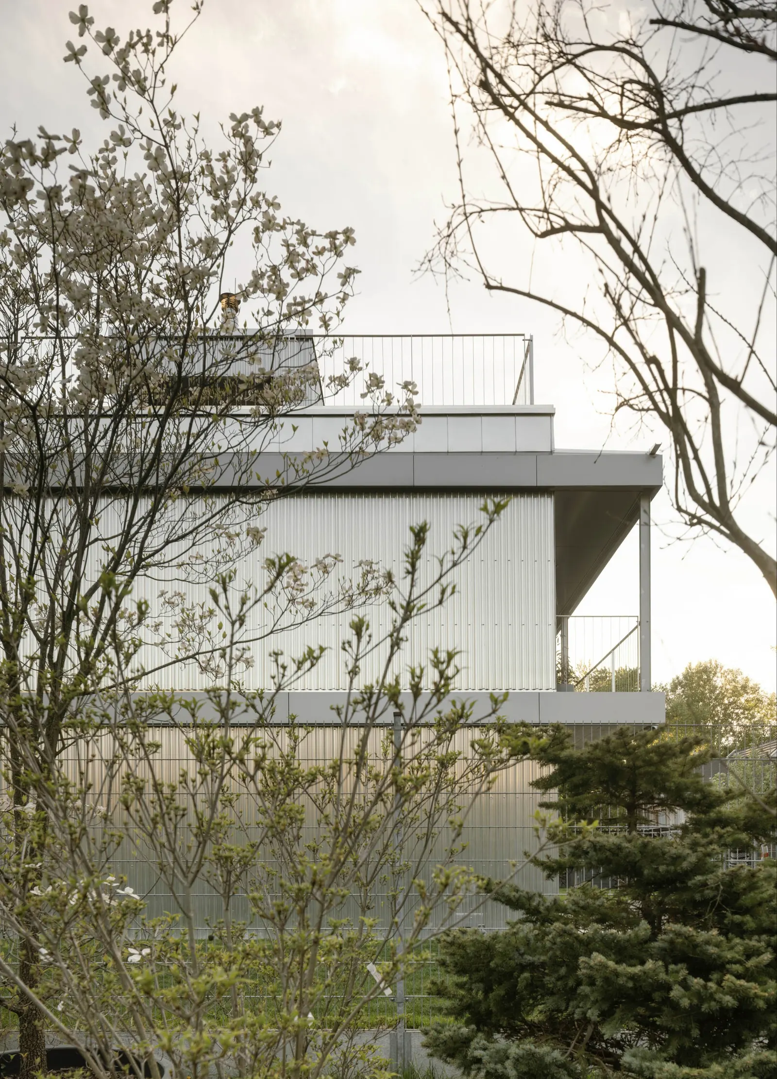 RDH House / Čechvala Architects