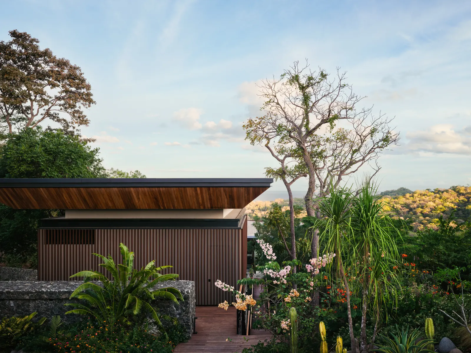 Casa Akíga / Studio Saxe