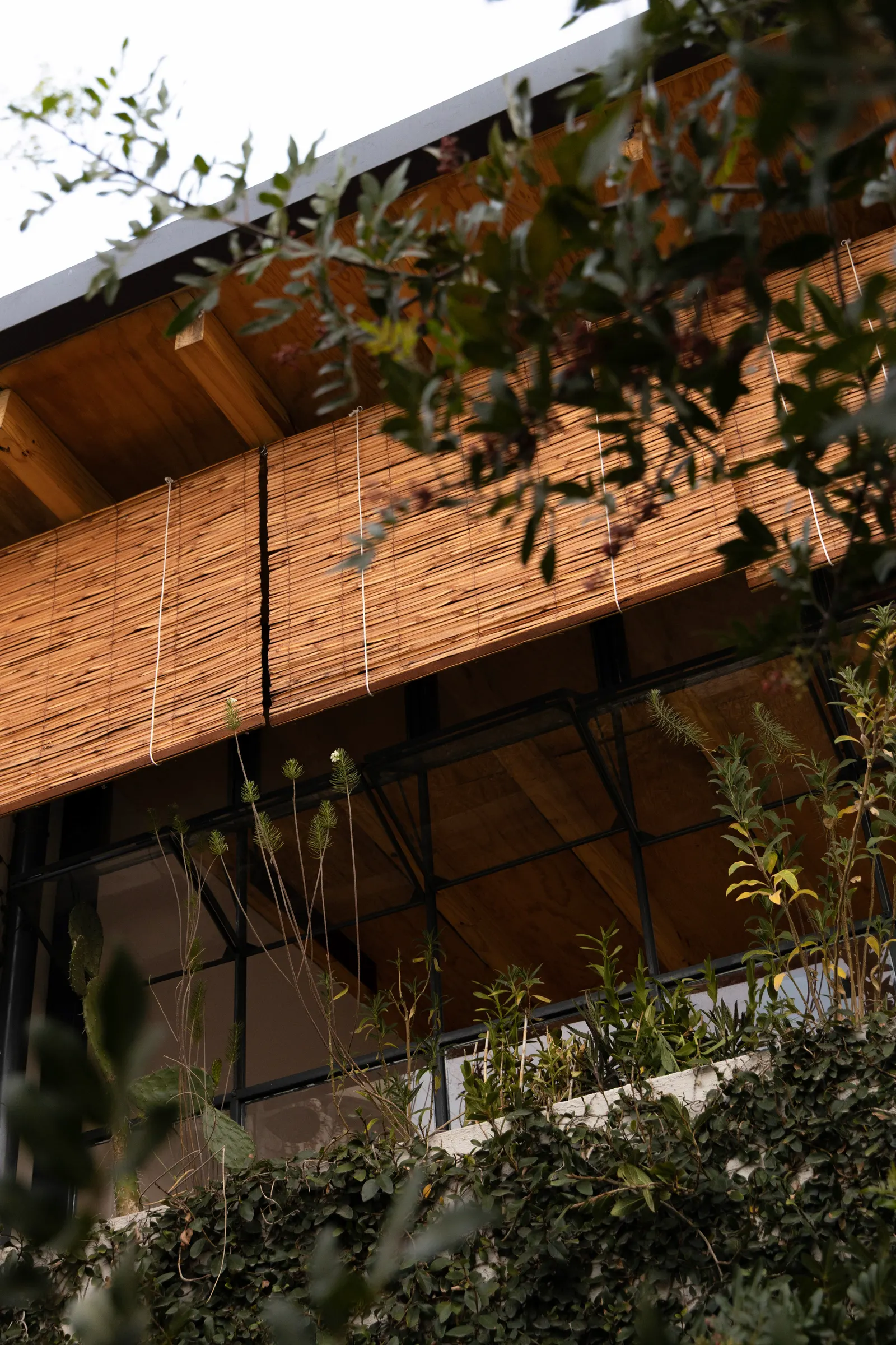 Terraza Rayón 376 / Eduardo Garretti studio