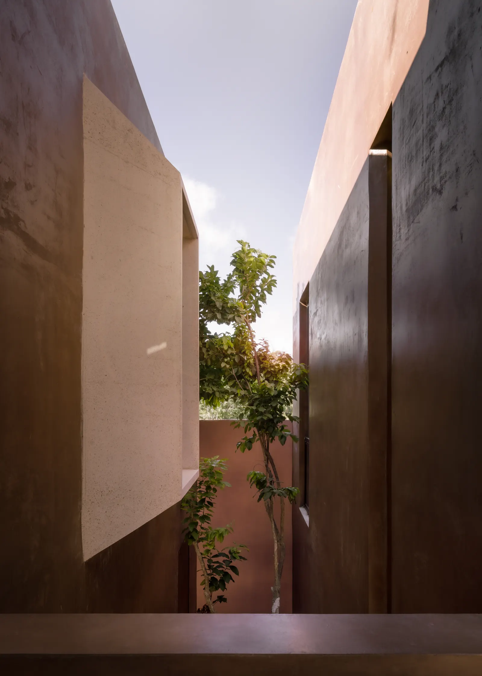 Esquina Nativa Center / TACO taller de arquitectura contextual