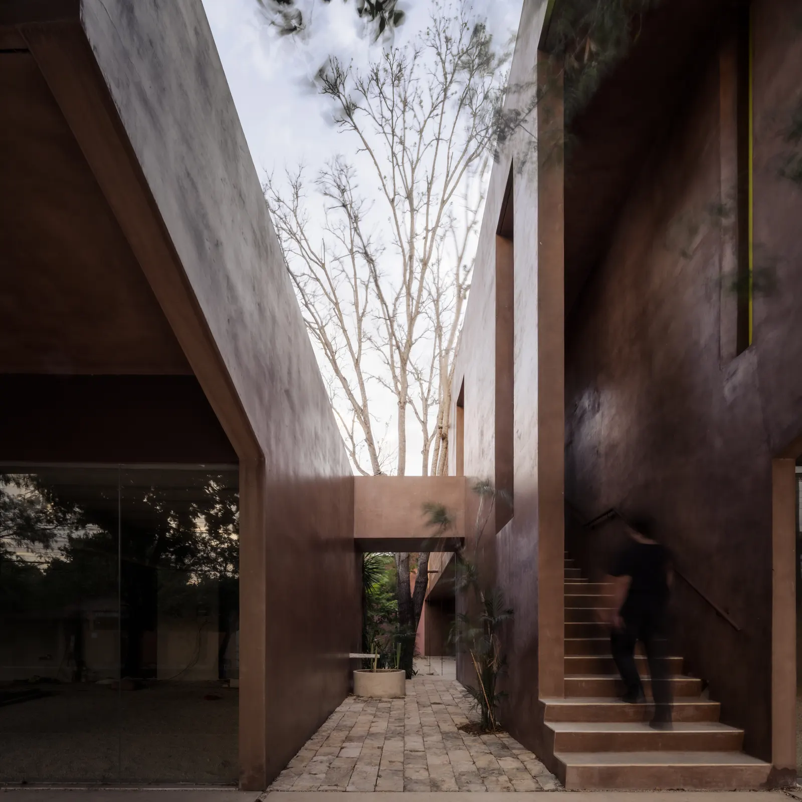 Esquina Nativa Center / TACO taller de arquitectura contextual