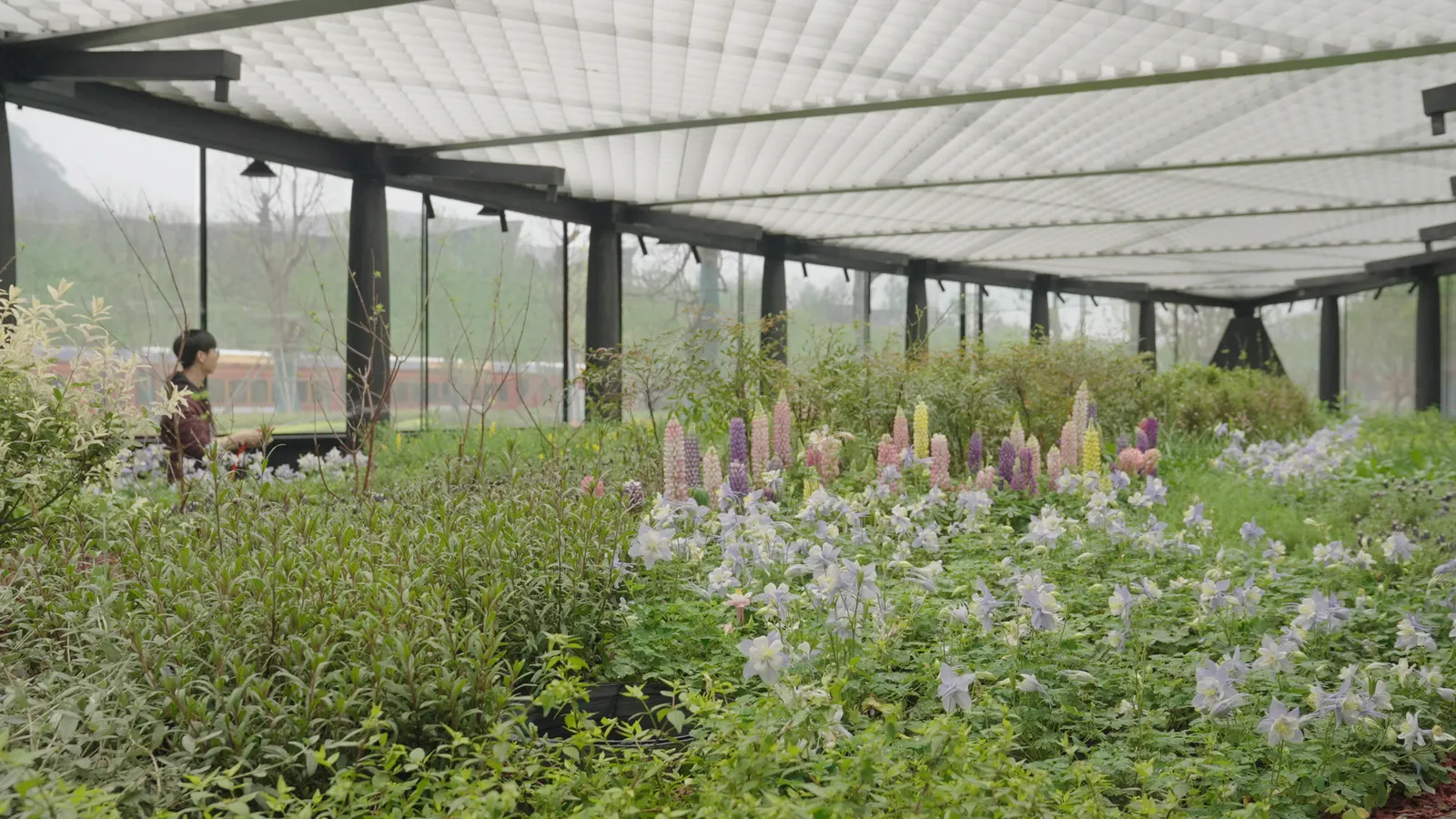 Floral Pavilion / genarchitects