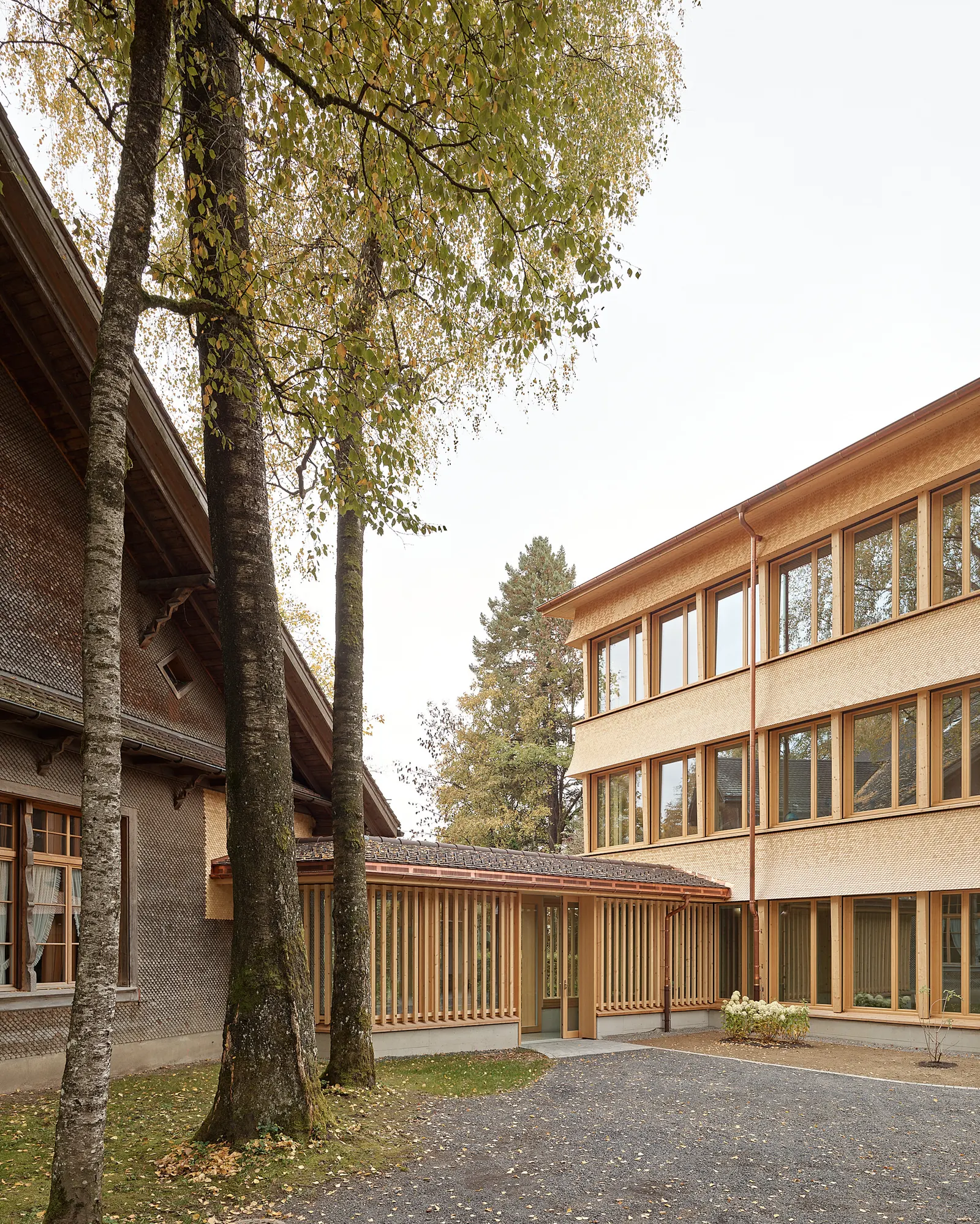 Bossard School / Gut Deubelbeiss Nill Architekten