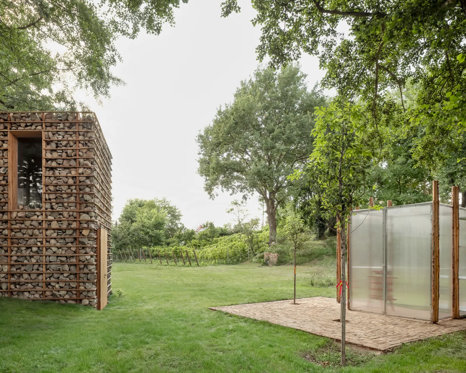 HAIN Vineyard Facilities / undjurekbrüggen + AFEA