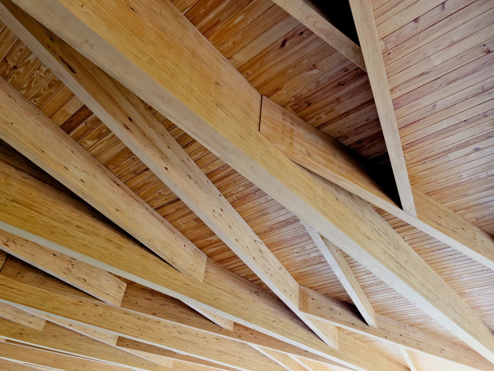 Locust Grove Pavilion / de Leon & Primmer Architecture Workshop