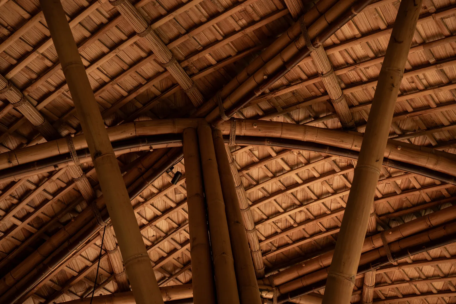 Lotus Shala Wellness Facility / Pablo Luna Studio