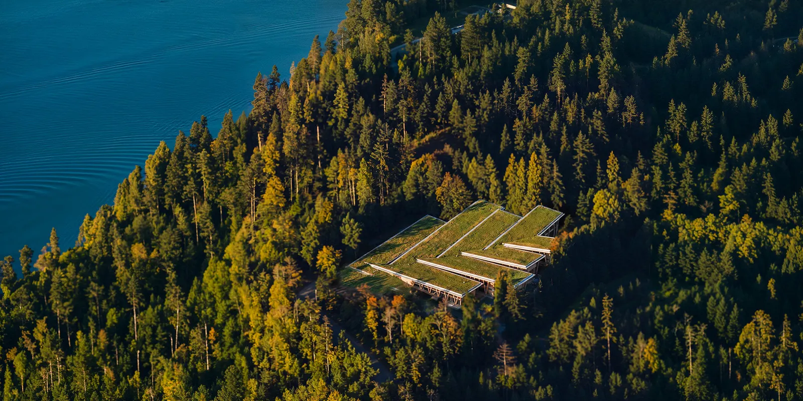 Luca Fontana предлагает walkable roofscape для Timber Factory в Ванкувере
