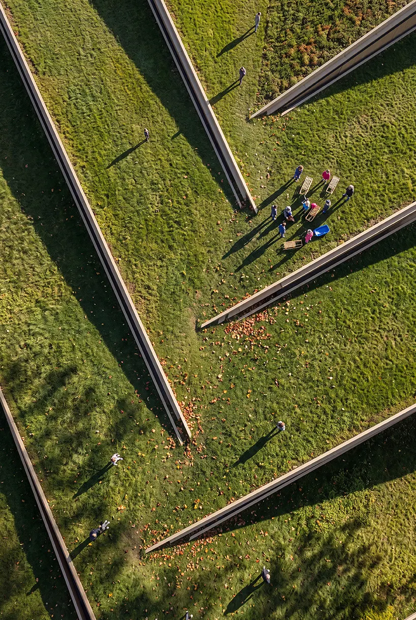 Luca Fontana предлагает walkable roofscape для Timber Factory в Ванкувере
