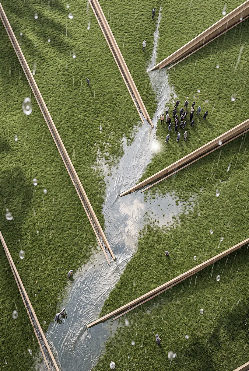 Luca Fontana предлагает walkable roofscape для Timber Factory в Ванкувере