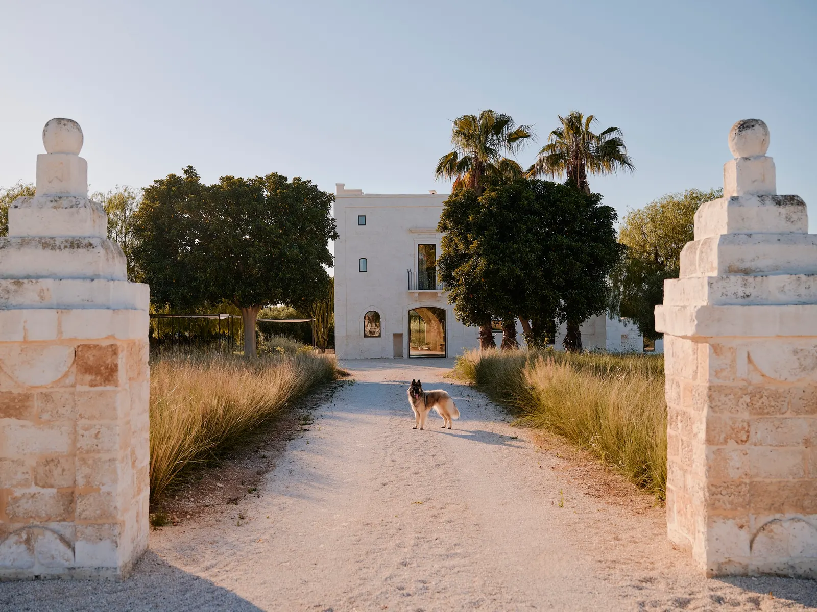 Masseria Ficazzella / Valari Studio — реставрация исторического массери в Фазано