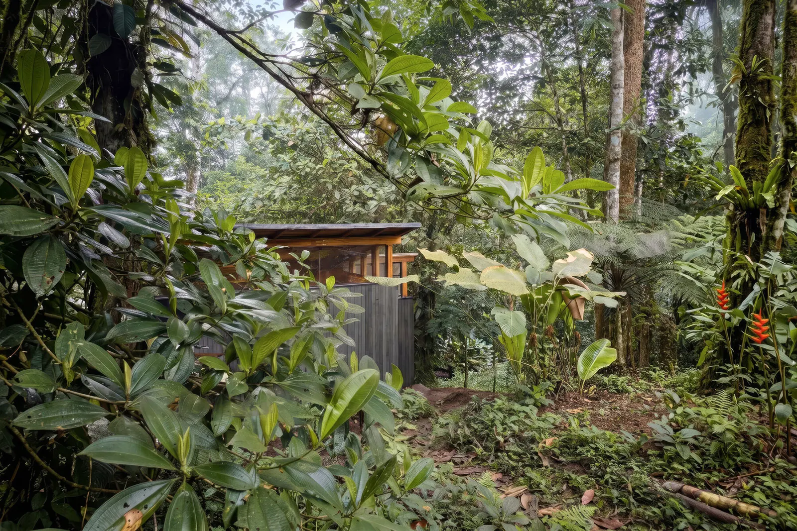Chocó Pambil Refuge: деревянный приют Minqa Atelier на крутом склоне в эквадорском лесу Chocó