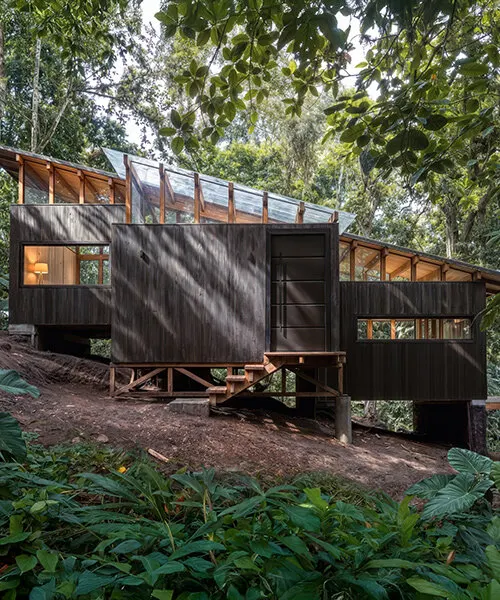 Chocó Pambil Refuge: деревянный приют Minqa Atelier на крутом склоне в эквадорском лесу Chocó