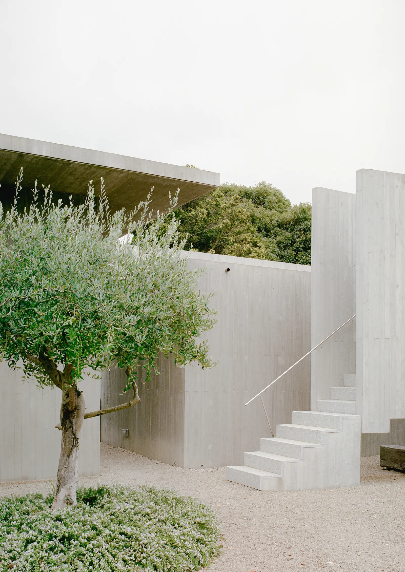 Mori House / Aires Mateus + MA+Co