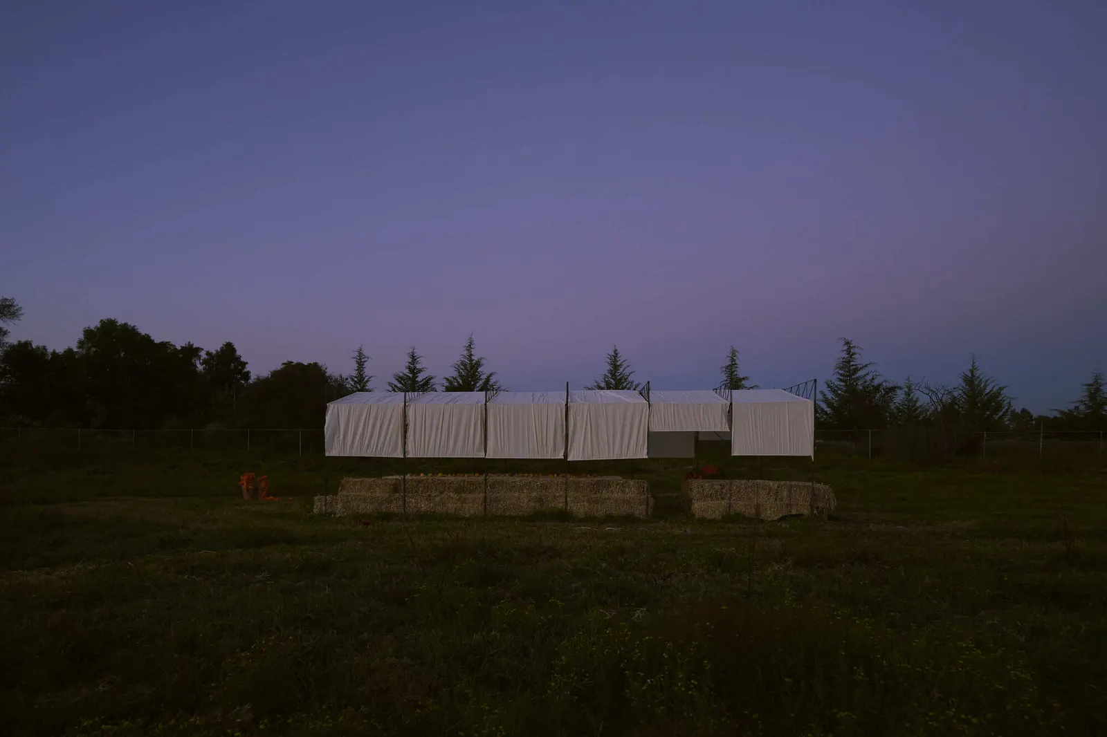Cempasúchil Pavilion / COLAR Colectivo de Arquitectura