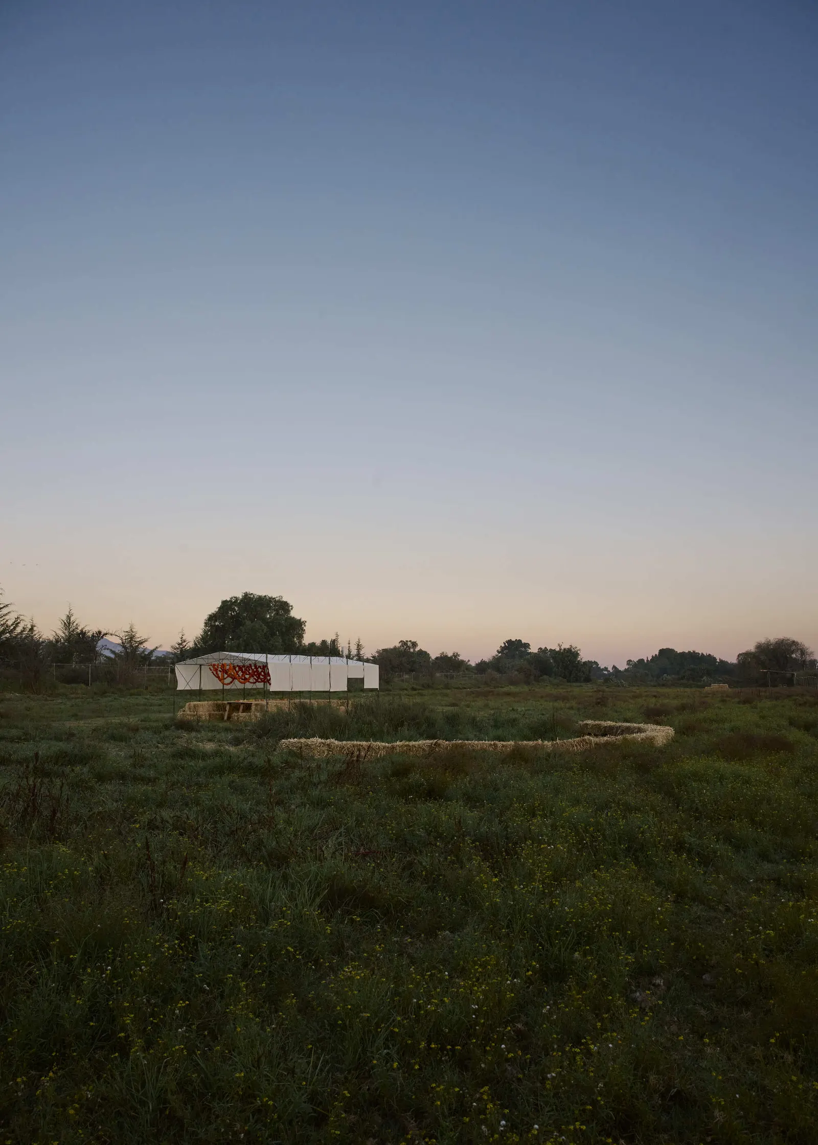Cempasúchil Pavilion / COLAR Colectivo de Arquitectura