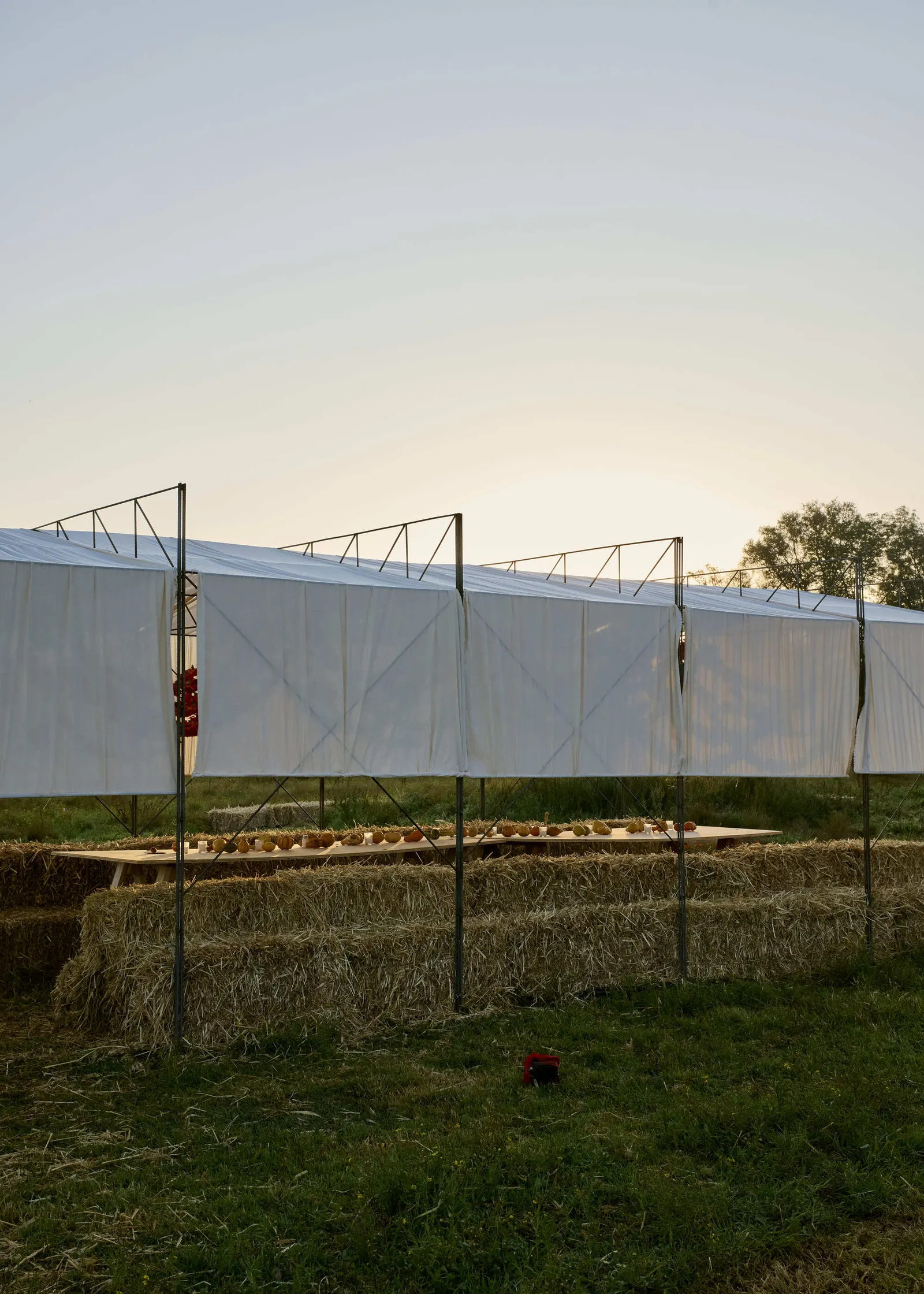 Cempasúchil Pavilion / COLAR Colectivo de Arquitectura