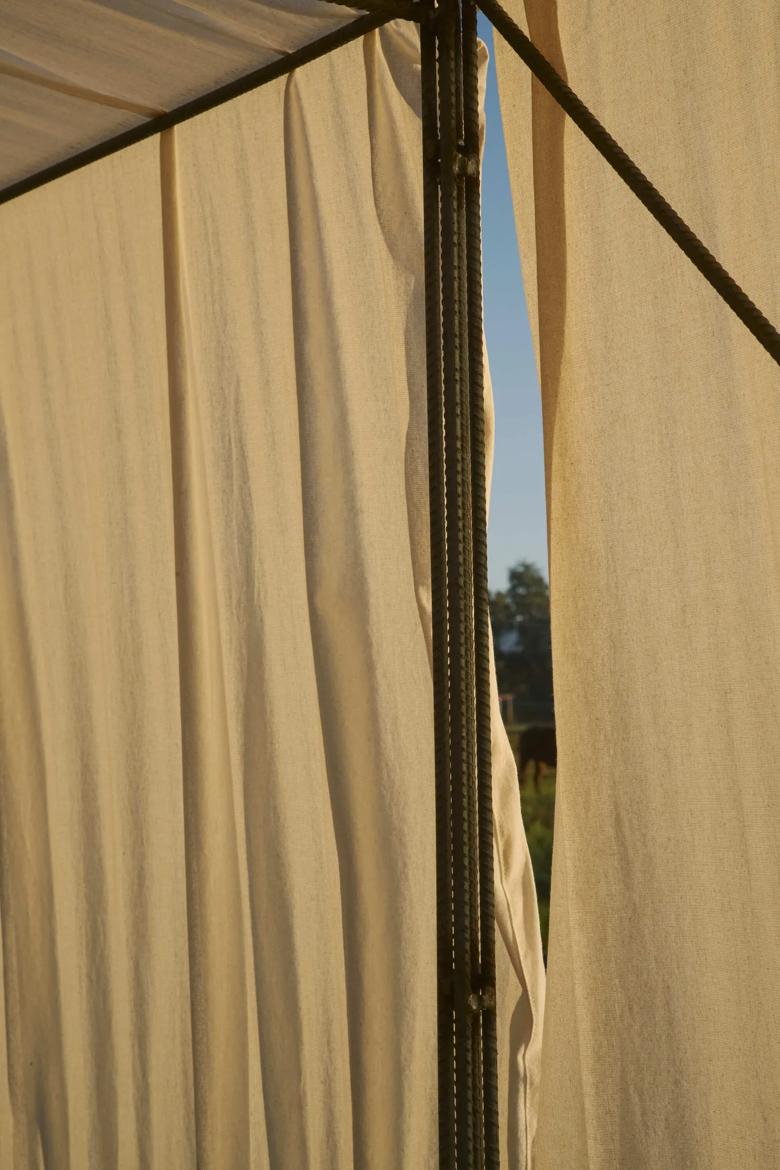 Cempasúchil Pavilion / COLAR Colectivo de Arquitectura