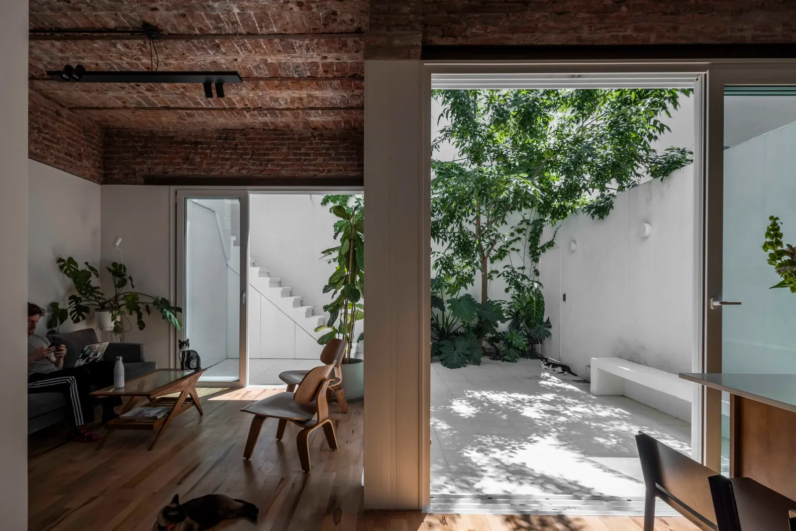 PH Juana / Estudio NU — реконструкция в Буэнос-Айресе, где новое сосуществует с существующим