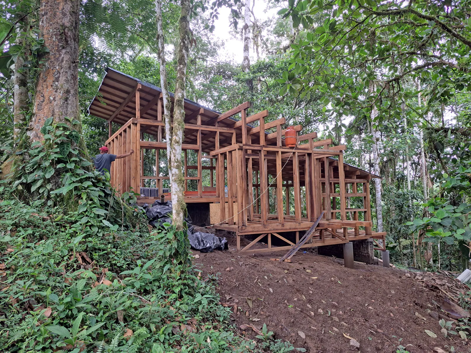 Chocó Pambil Refuge / Minqa Atelier