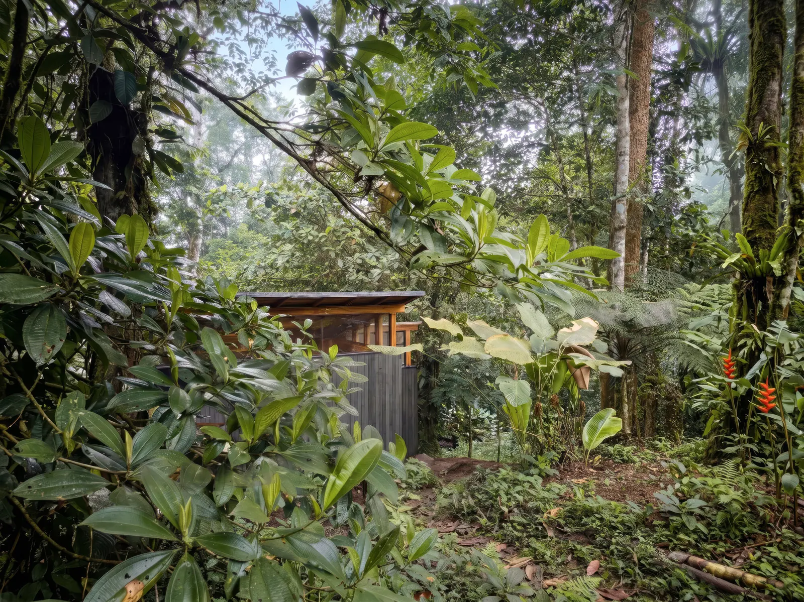 Chocó Pambil Refuge / Minqa Atelier