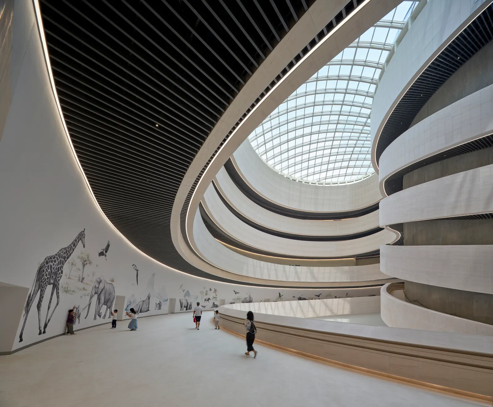 Shenzhen Natural History Museum: новый крупнейший музей естественной истории Южного Китая