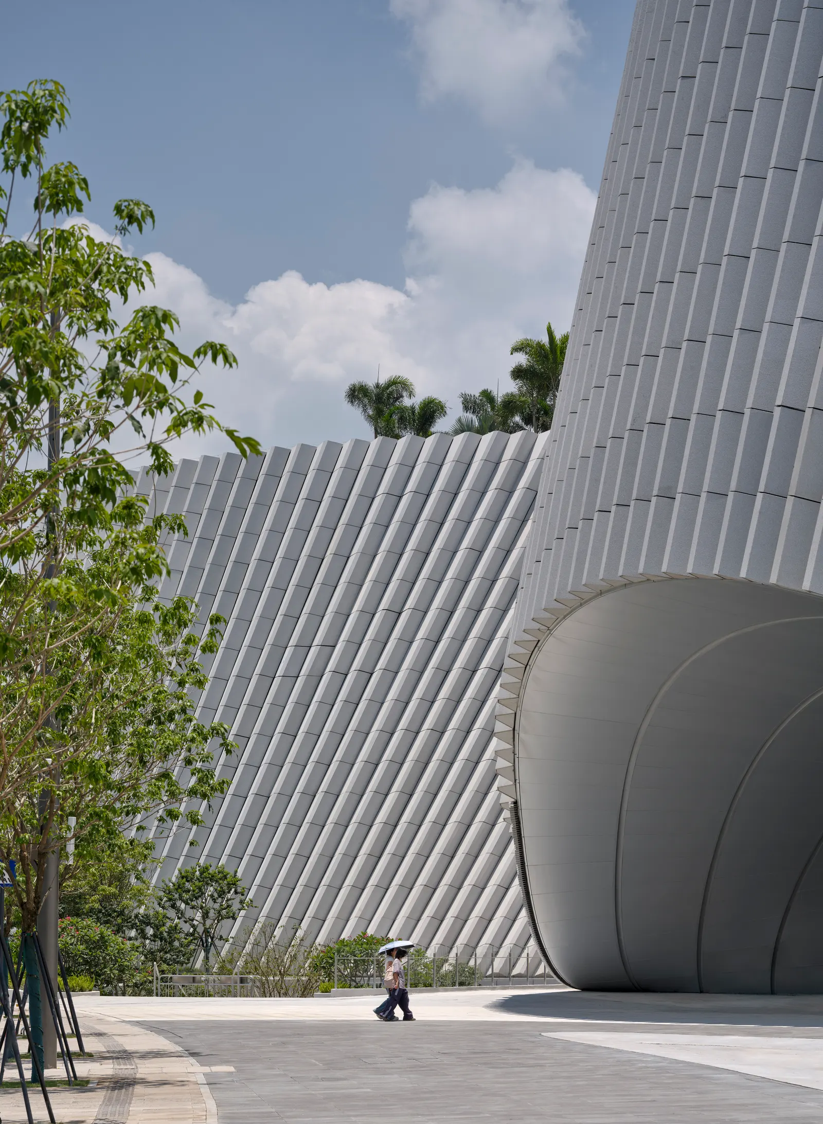 Shenzhen Natural History Museum: новый крупнейший музей естественной истории Южного Китая