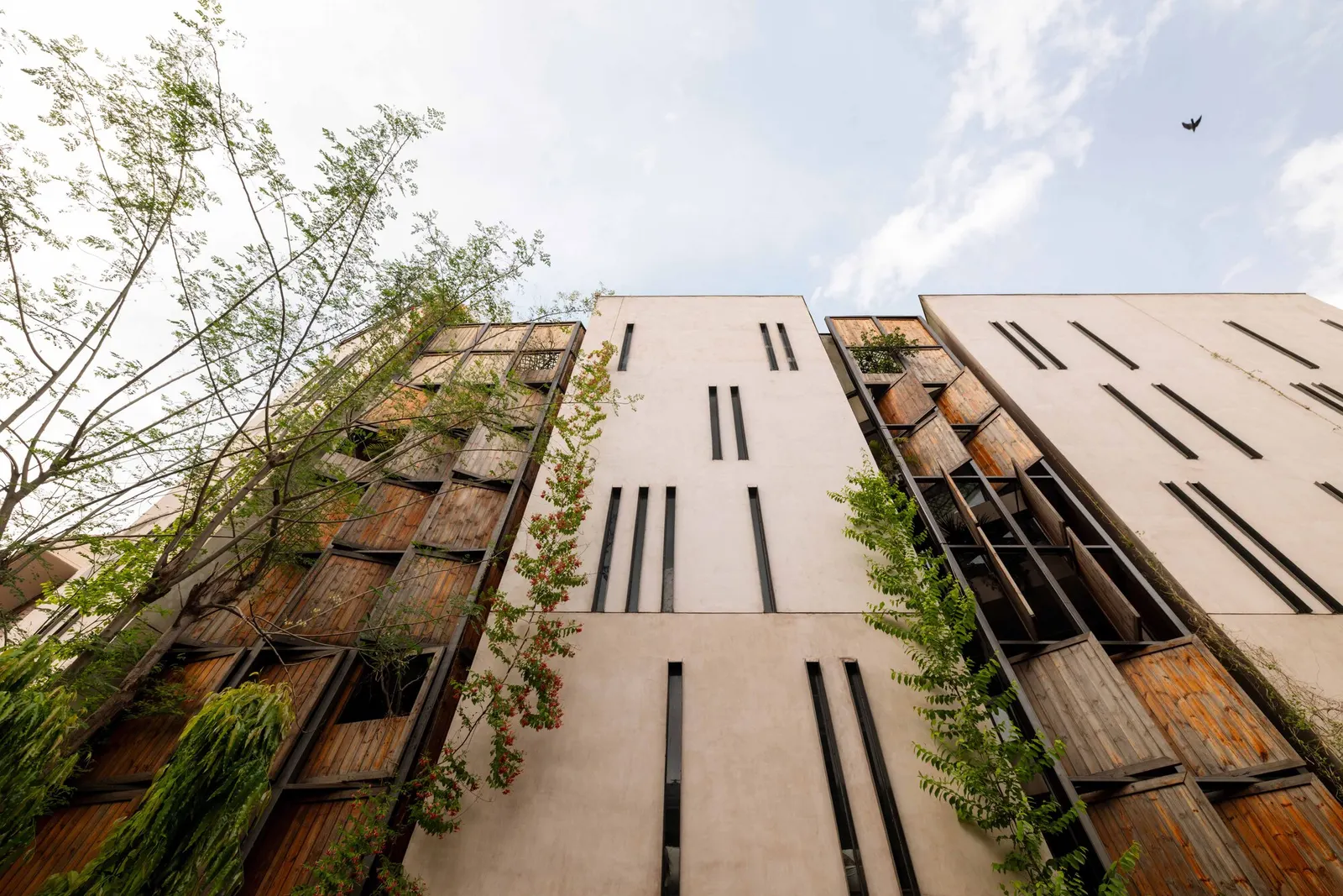 Дом Thirds / Architects Collaborative в Нью-Дели: участок-треугольник и архитектура на стыке улиц